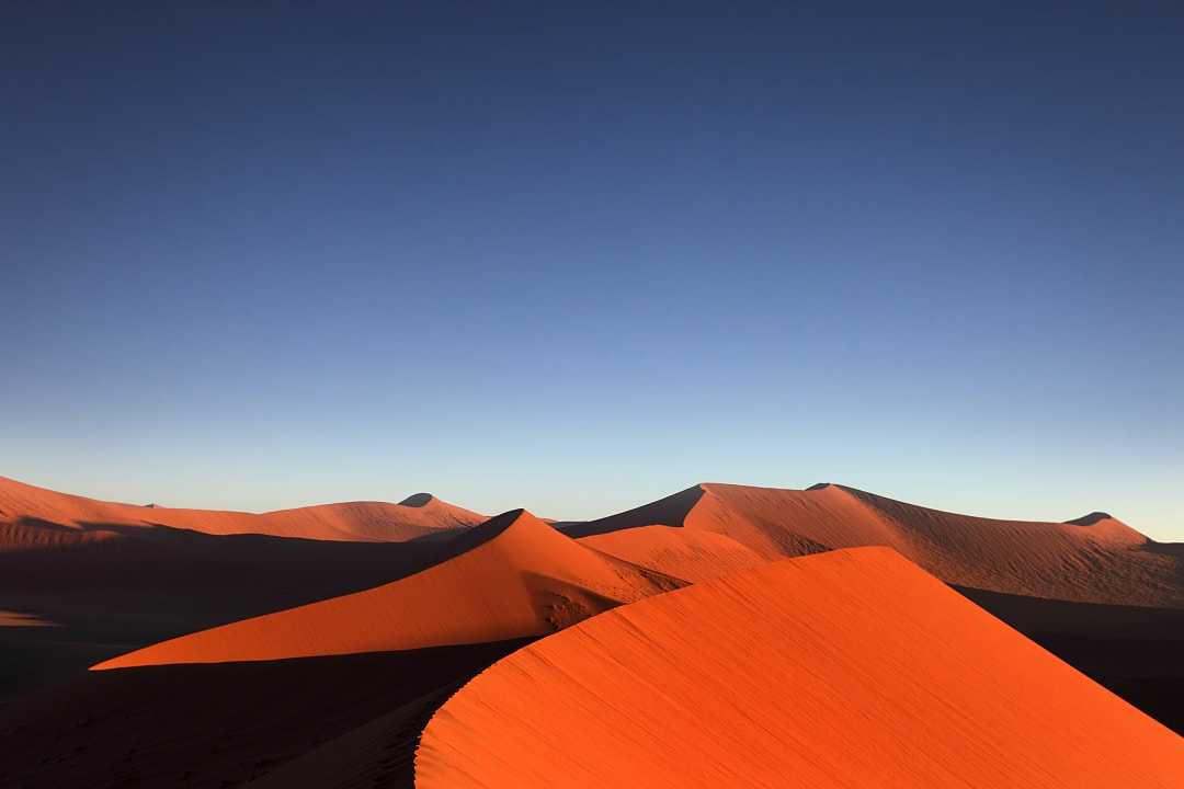 Dunes in the Namib Desert