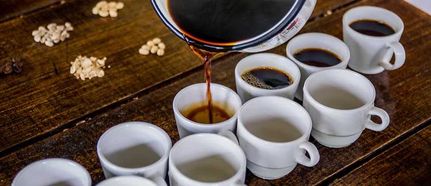 Coffee tasting in Colombia