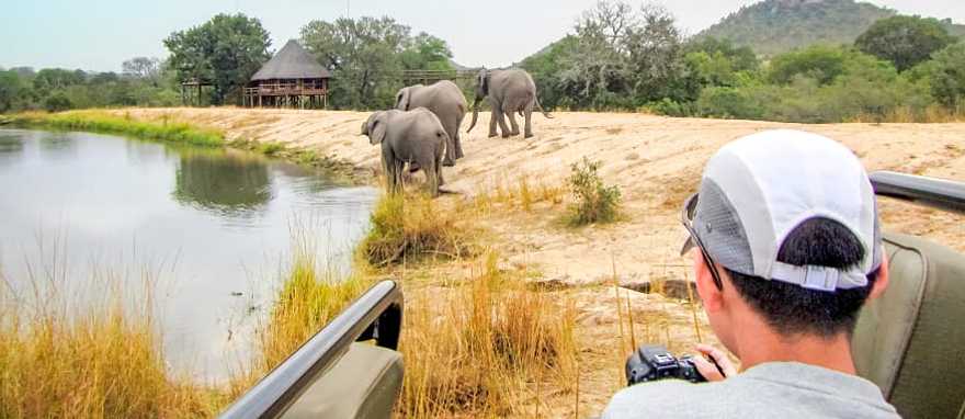 Teenage photographer on safari game drive in Kruger National Park, South Africa
