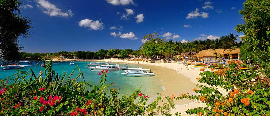 Beautiful golden sand beach with colorful flowers in Bali