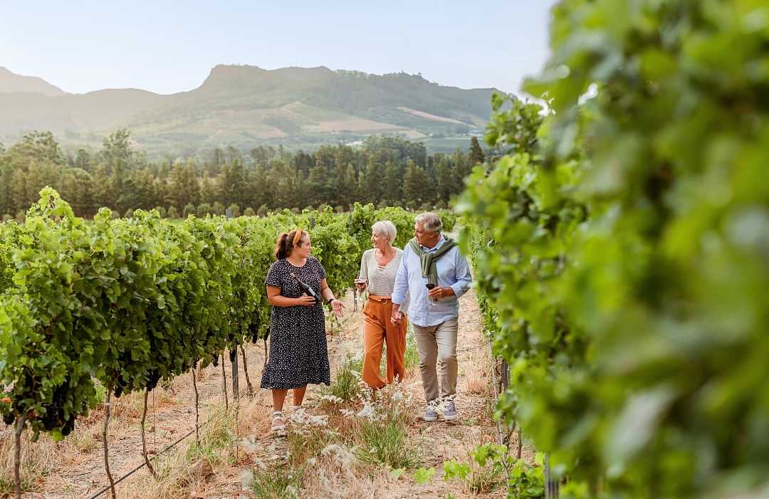 Senior couple in Cape Winelands, South Africa