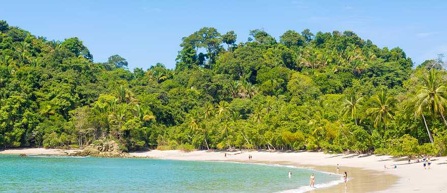 Paradise Tropical beach in San Antonio, Costa Rica. 