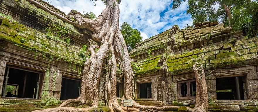 Ta Prohm temple in Krong Siem Reap, Cambodia