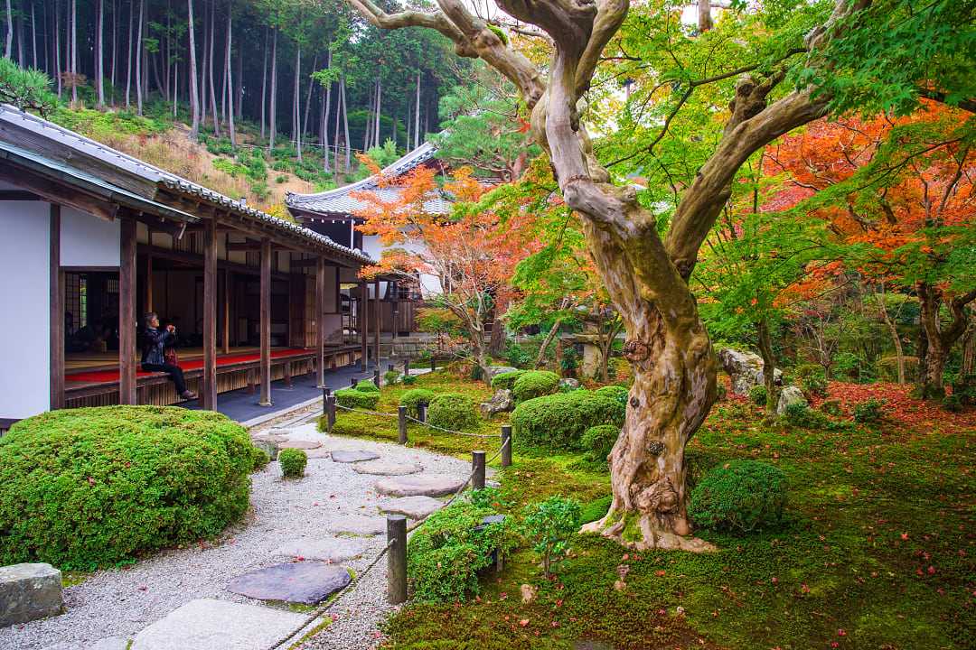 Woman at Enkoji Temple enjoying early autumn colors of the Japanese garden