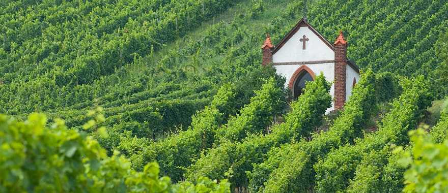 vineyards of the Barossa Valley  Church in the middle of the vineyards of the Barossa Valley, Australia