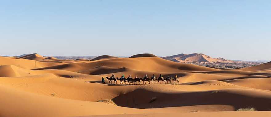 Camel ride through the Moroccan desert sand dunes