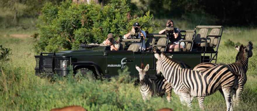 Private photo safari in Sabi Sands, South Africa