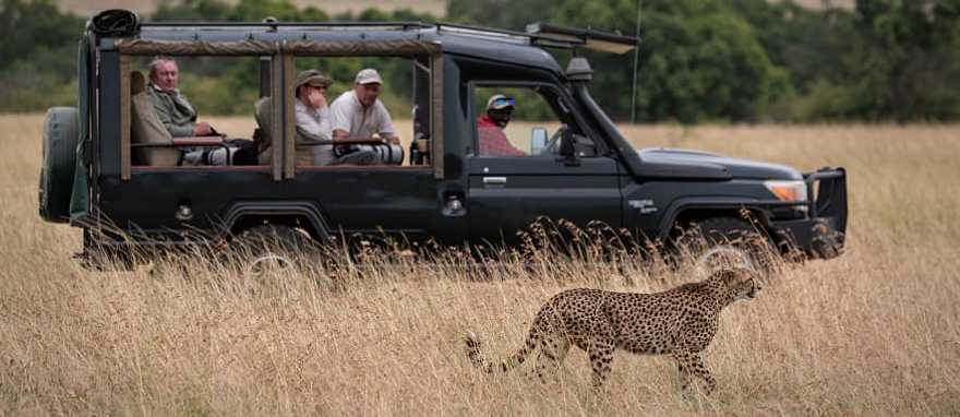 Safari in Masai Mara, Kenya Safari in Masai Mara, Kenya
