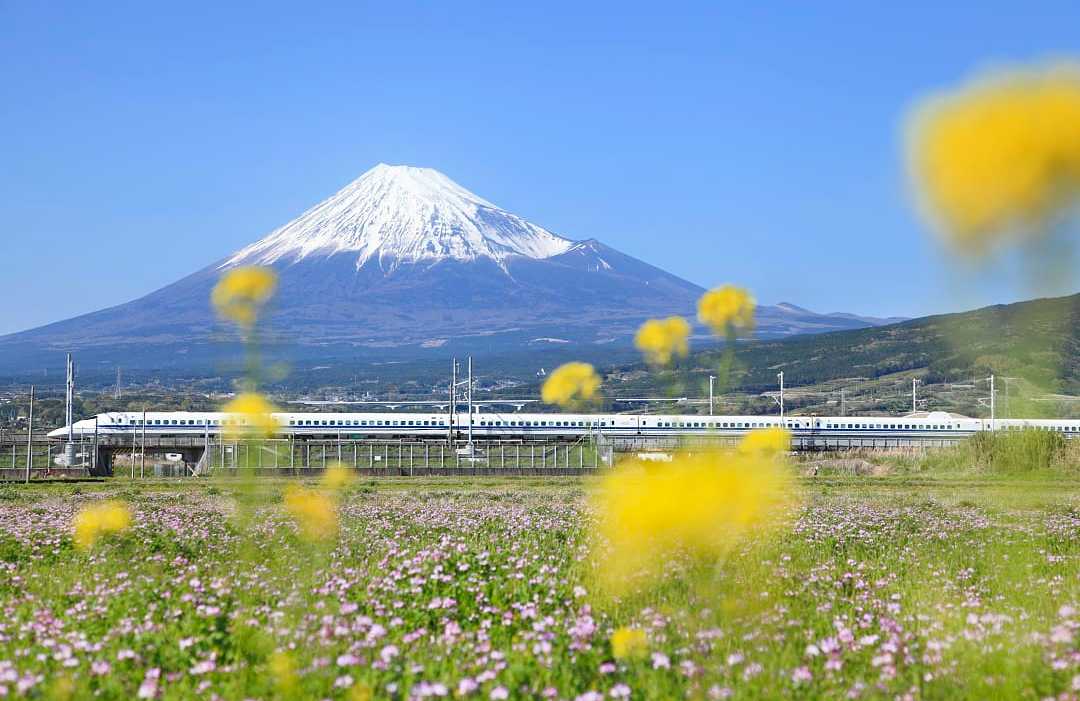 Shinkansen Train in Japan Shinkansen bullet train passing Mt Fuji in Japan