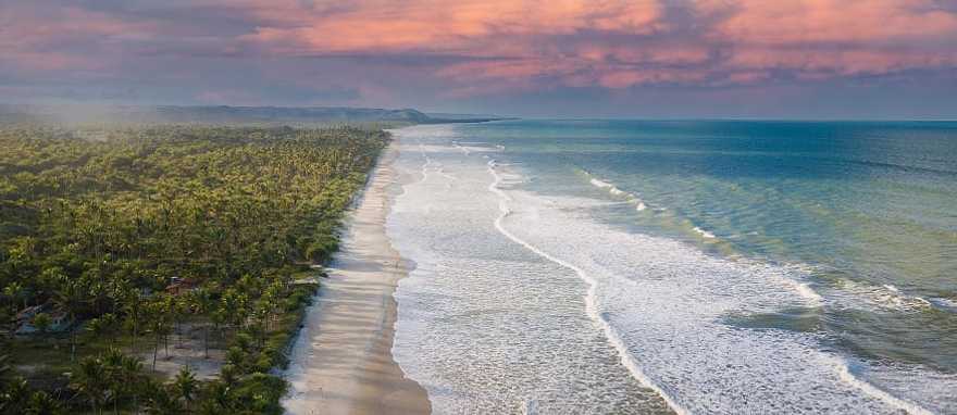 Ilhéus on the coast of Bahia, Brazil Deserted beach with coconut trees in Ilhéus on the coast of Bahia Brazil