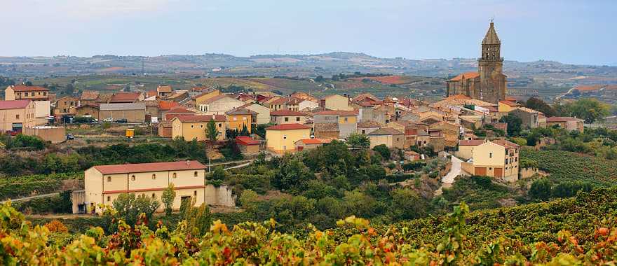 Haro vineyards in the La Rioja region of Spain