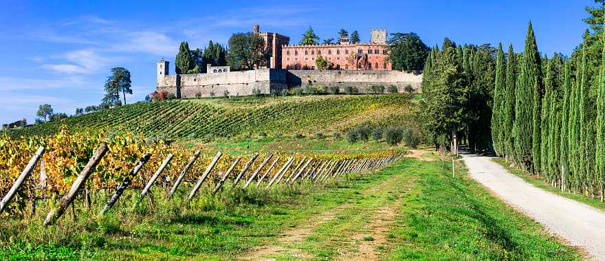 Vineyard and winery in the Chianti region of Tuscany, Italy