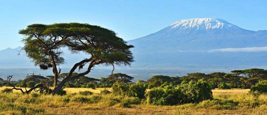 View of Mount of Kilimanjaro 