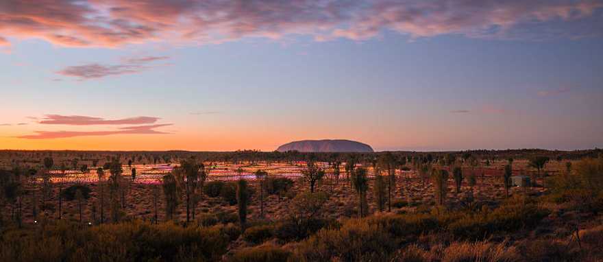 Field of Lights at Uluru