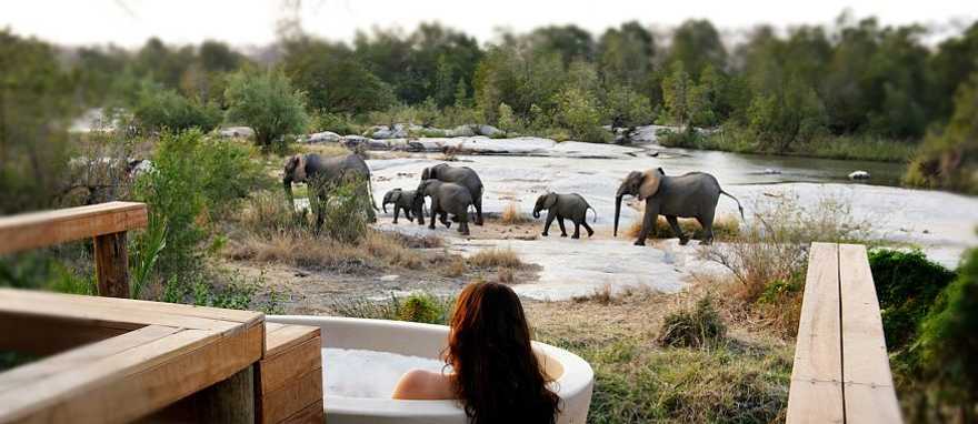 Photo Courtesy of Londozoli Woman bathing at private suite with river view of elephant crossing