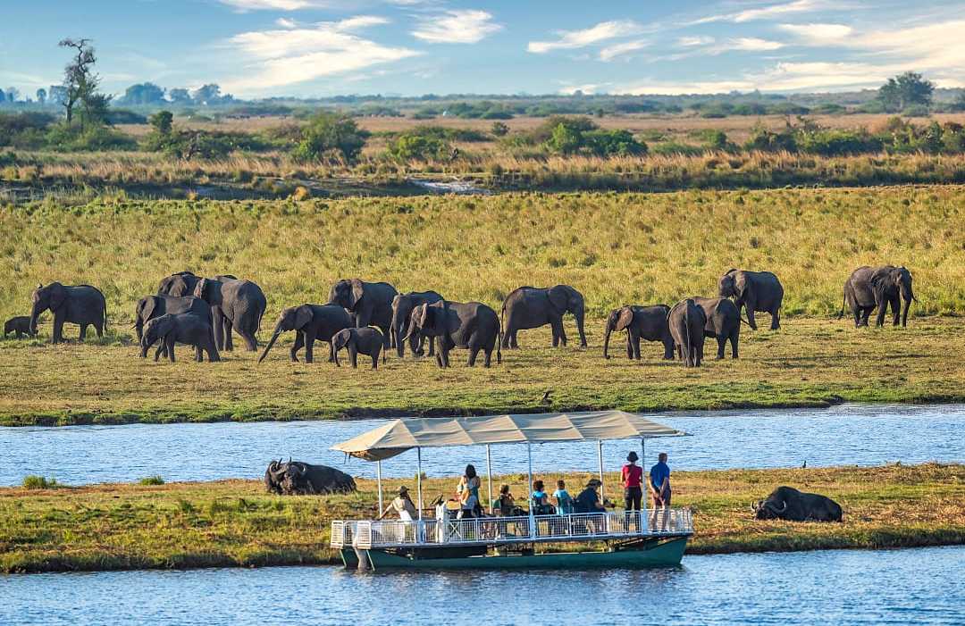 Safari tourist in a boat watching a heard of elephants in Chobe National Park, Botswana
