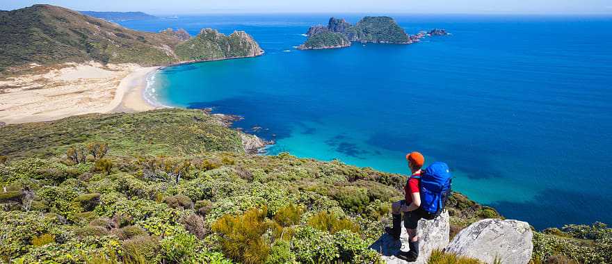 Rakiura National Park on Stewart Island, New Zealand Great Walk in Rakiura National Park on Stewart Island, New Zealand