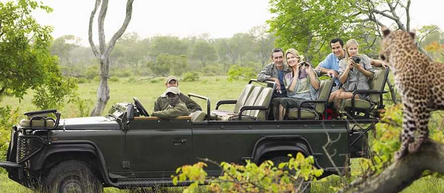 Sensational South Africa Vacation: Safaris, Cities & Vineyards Sensational South Africa Vacation: Safaris, Cities & Vineyards