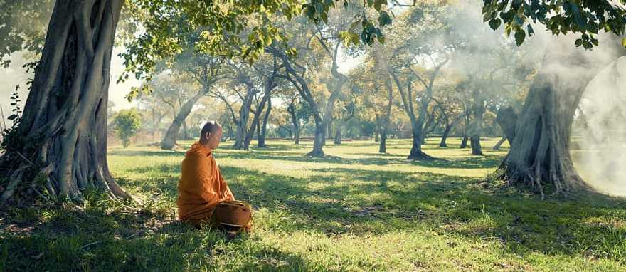 Monk meditating under a tree in Cambodia Monk meditating under a tree in Cambodia