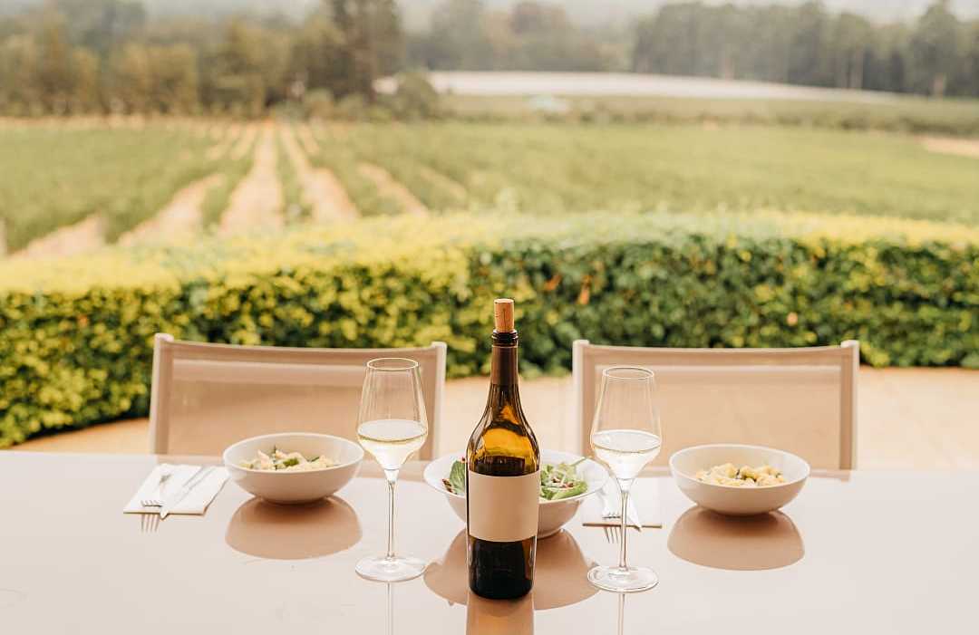 Cape Town meal at a wine farm.