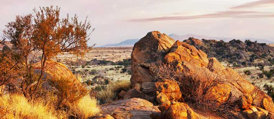 Namibian desert in Africa