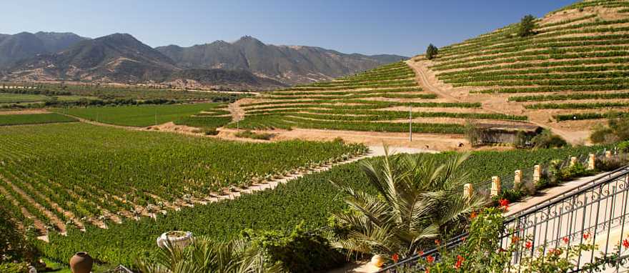 Beautiful vineyard near Santiago in Chile 