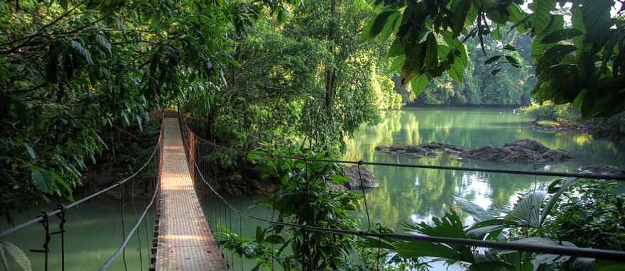 Travel through the trees with the whole family on the Arenal's suspension bridges