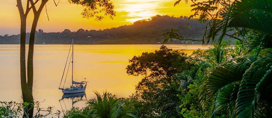 Dolphin bay in Bocas del Toro, Panama Dolphin bay in Bocas del Toro, Panama