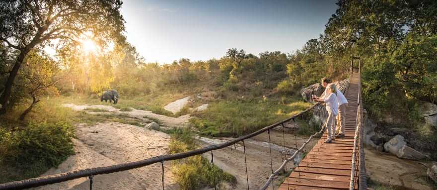 Watching elephants from the bridge at Dulini Lodge in South Africa