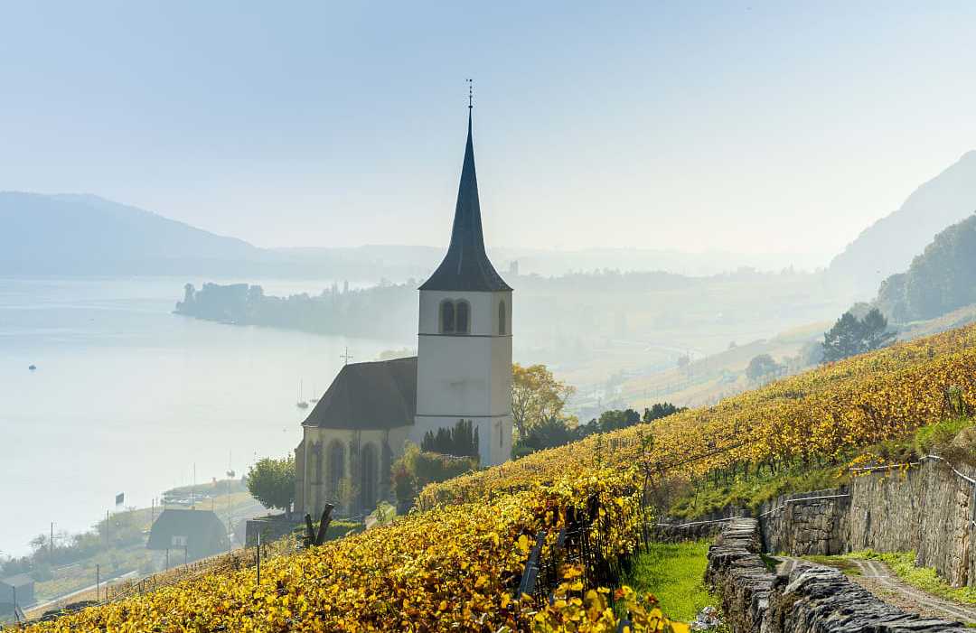 Vineyards of the Lake Biel in Switzerland