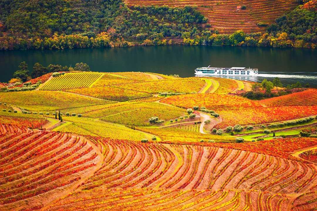 Autumn in Douro Valley, Portugal