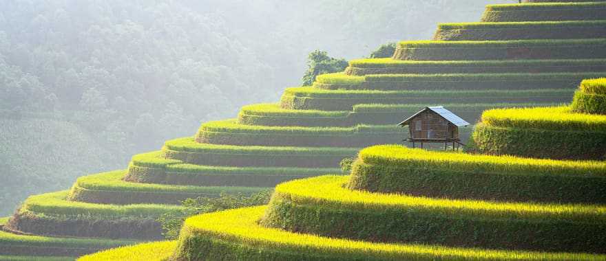 Sapa valley at sunset in Vietnam 