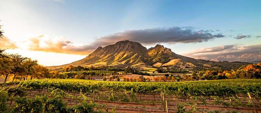 Wine region near Stellenbosch looking at Simonsberg in South Africa. Wine region near Stellenbosch looking at Simonsberg in South Africa.