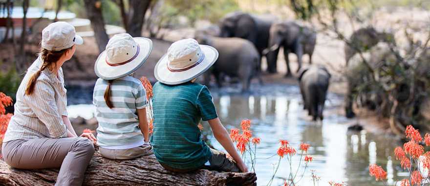 Mother and children sitting on a log watching elephants drinking from a watering hole in South Africa Game Reserve 
