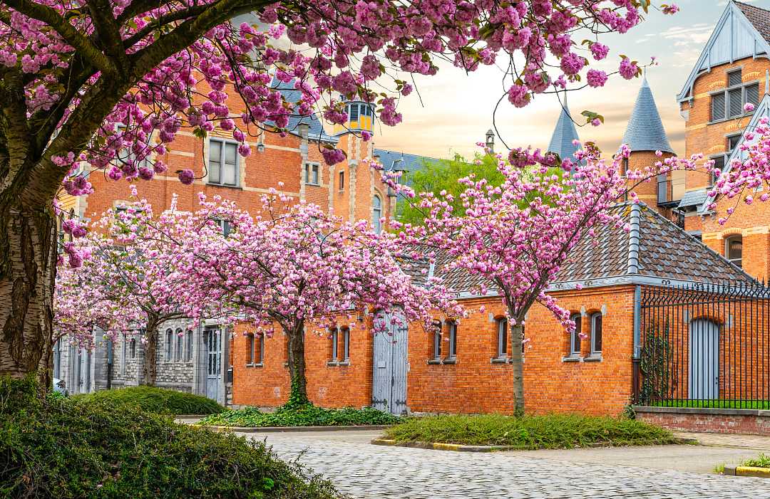 Belgium, in the splendor of spring.