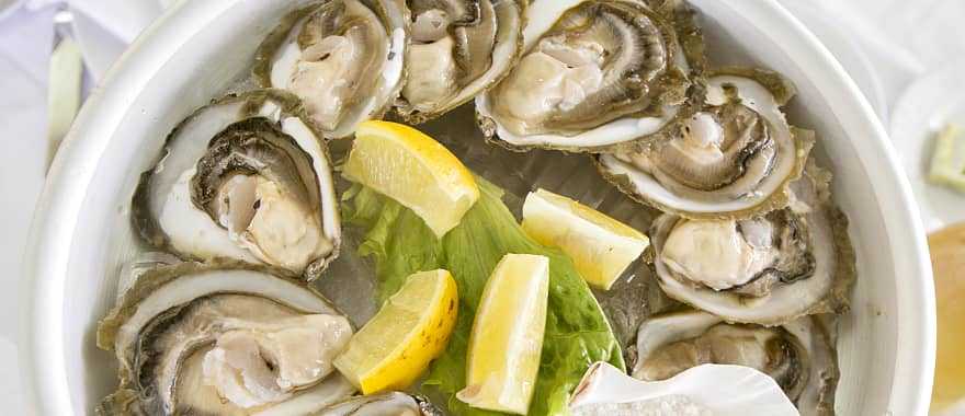 Gourmet oysters in Croatia