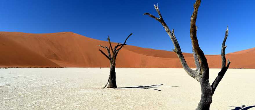 Namibia Dessert dunes