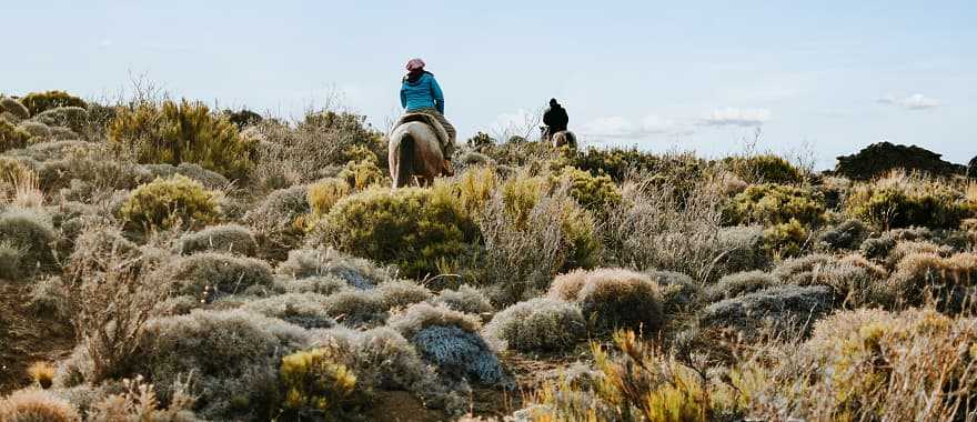 Horseback riding in Patagonia