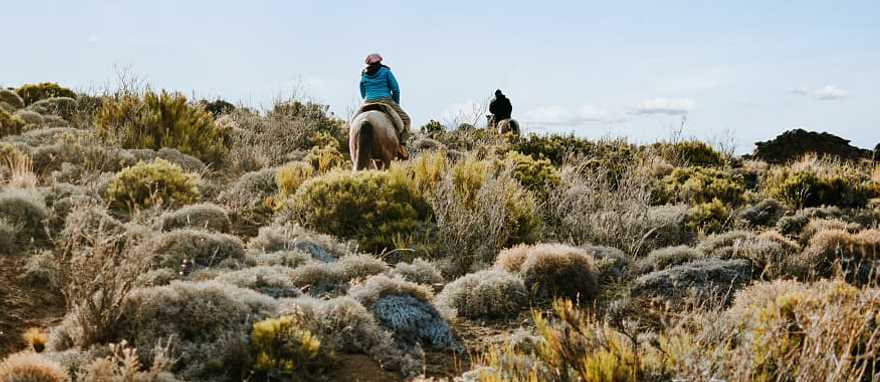 Horseback riding in Patagonia