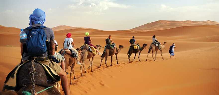 Camel caravan in the Sahara Desert, Morocco Camel caravan in the Sahara Desert, Morocco