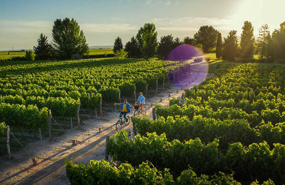 Couple cycling thought vineyards in Mendoza, Argentina