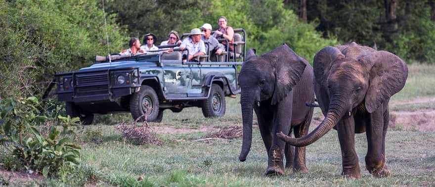 Game drive in MalaMala Game Reserve.  Photo courtesy of MalaMala Game Reserve