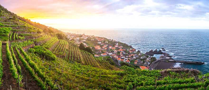 Madeira, view of the coast and vineyards in Portugal