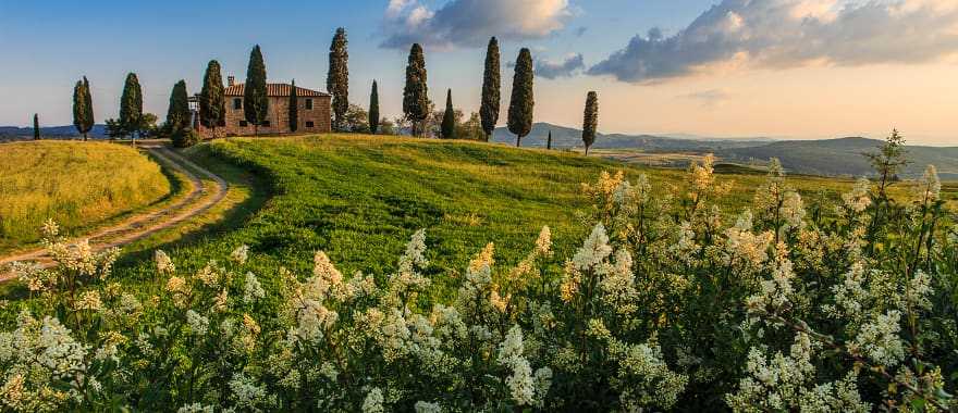 House surrounded by green fields and cypress trees in Tuscany, Italy