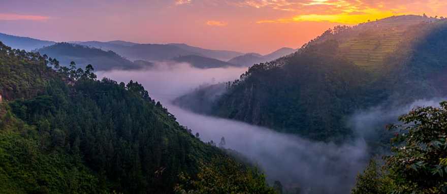 Bwindi Impenetrable Forest National Park, Uganda