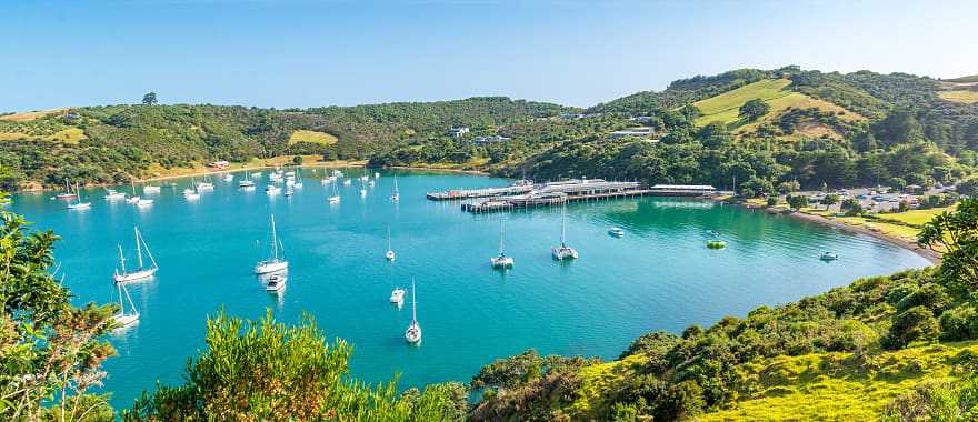 Bay on Waiheke Island, New Zealand