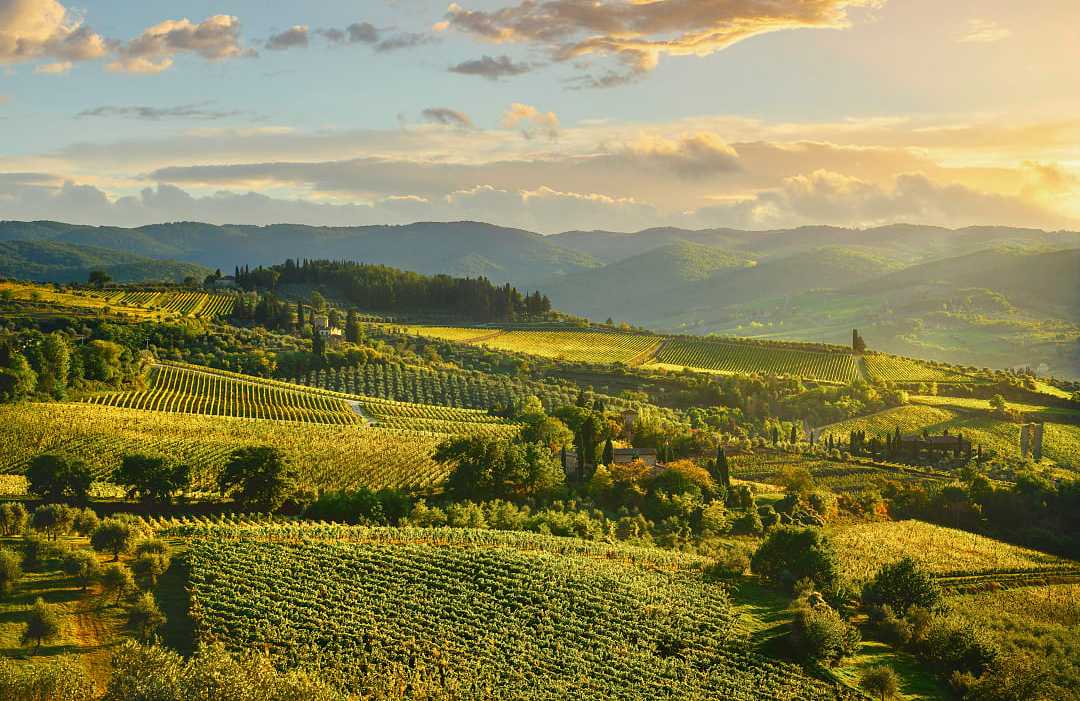 Vineyards around Panzano in Tuscany, Italy
