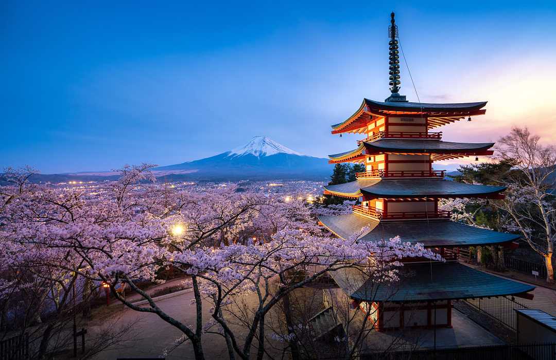Chureito pagoda and Mt. Fuji in the spring with cherry blossoms during twilight in Japan