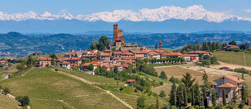 Piedmont, Italy Vineyards in Piedmont with snow capped mountains in the background