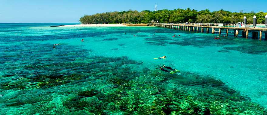 Snorkels exploring the reef around Green Island, Australia